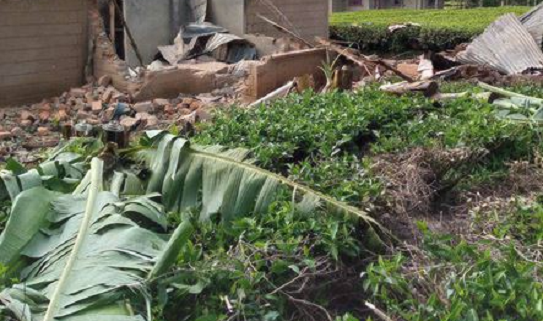 woman hacks man to death woman hacks man to death