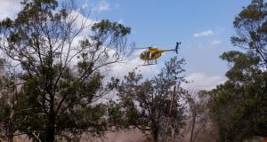 Anger grows as Hawaii fire death toll nears 100 Anger grows as Hawaii fire death toll nears 100