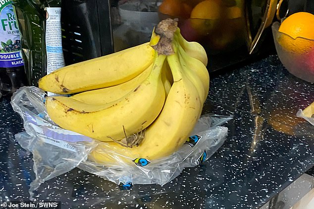 Austrian supermarket evacuated after banana-loving spider capable of causing permanent erections in men is spotted