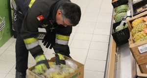 Austrian supermarket evacuated after banana-loving spider capable of causing permanent erections in men is spotted Austrian supermarket evacuated after banana-loving spider capable of causing permanent erections in men is spotted