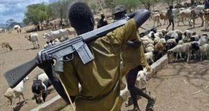 Herders invade plateau school, kill two teachers Herders invade plateau school, kill two teachers