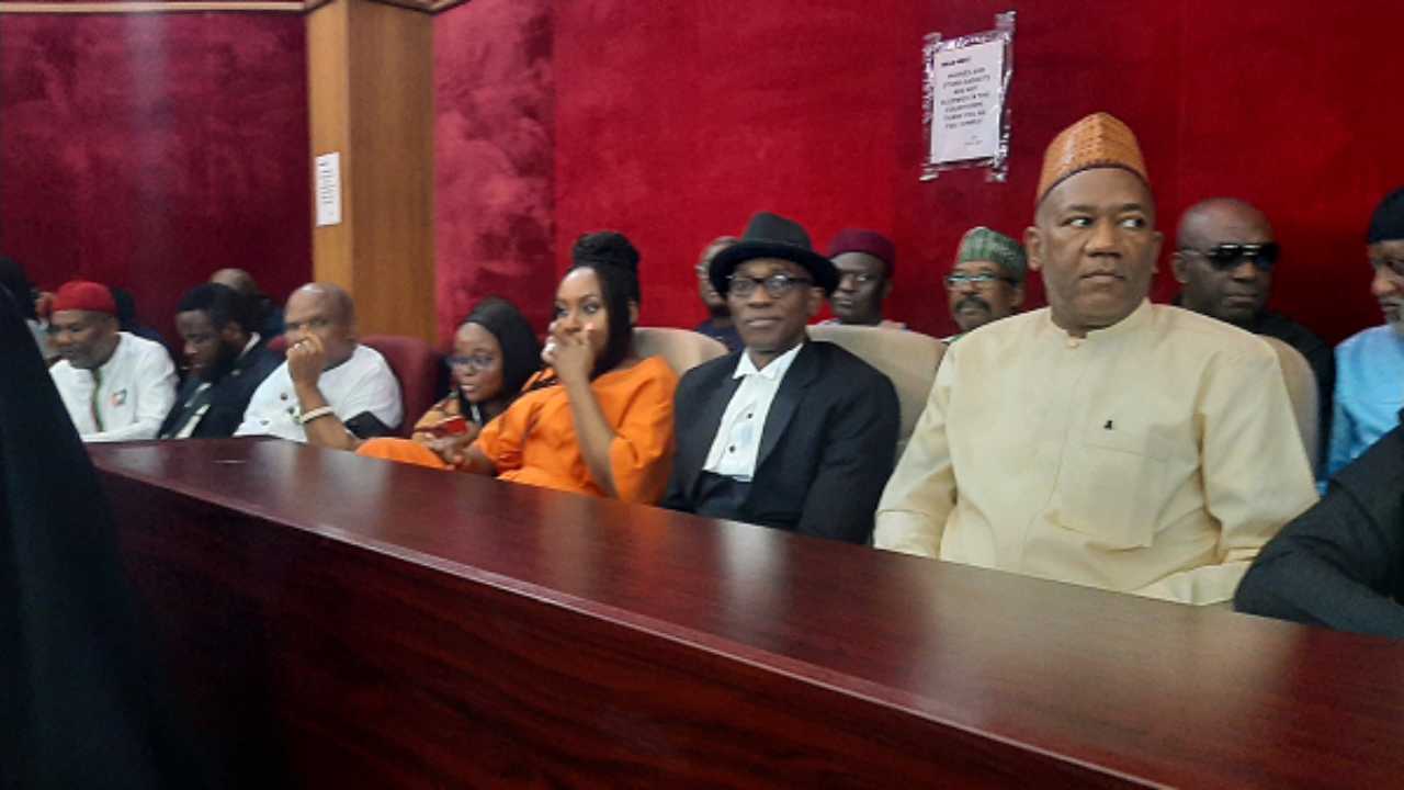 Chimamanda joins Peter Obi to attend presidential tribunal