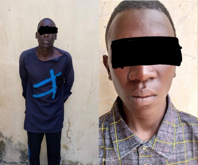 Police smash kidnapping syndicate in Yobe