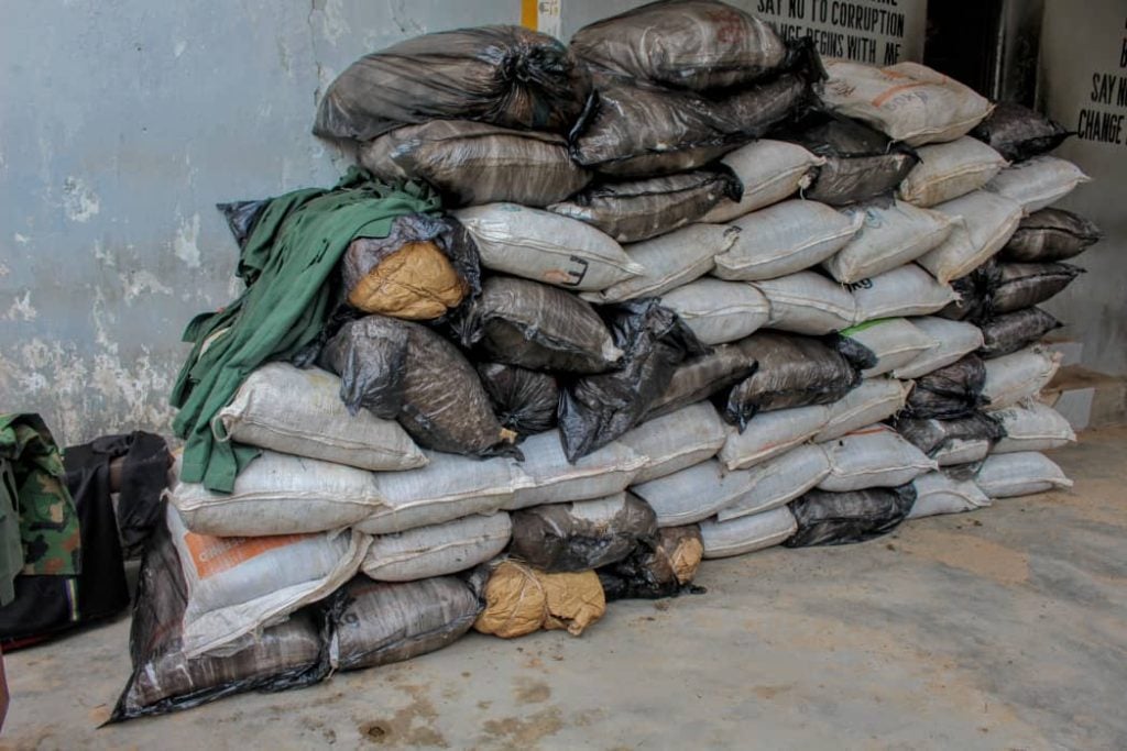Drug cartel busted in Kano