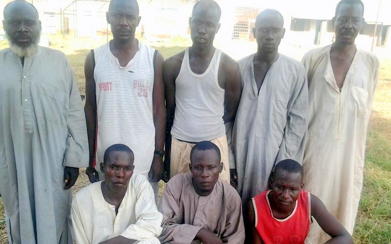 8 Boko Haram terrorists surrender in Borno