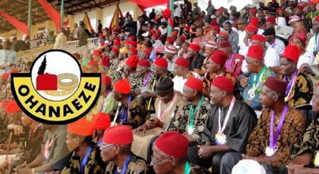 Sit-at-home enforcers have killed over 250 people – Ohanaeze
