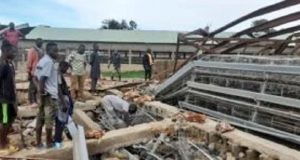 Windstorm kills 3,600 birds in Plateau Windstorm kills 3,600 birds in Plateau