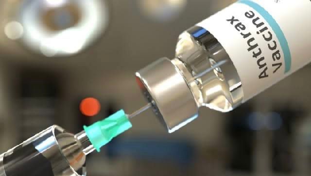 FAKE Anthrax vaccines uncovered in five states in Nigeria