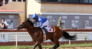 The Science of Training Race Horses: Physiology and Fitness Race Horses:
