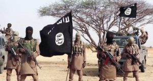 Boko Haram releases 48 abducted Borno women Boko Haram releases 48 abducted Borno women