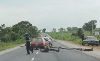 IGP squad arrests Police, Immigration officers over Illegal checkpoint
