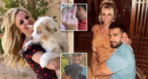 Britney Spears and Sam Asghari agree to split up their dogs Britney Spears and Sam Asghari agree to split up their dogs