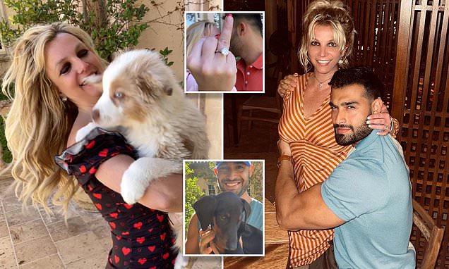 Britney Spears and Sam Asghari agree to split up their dogs 