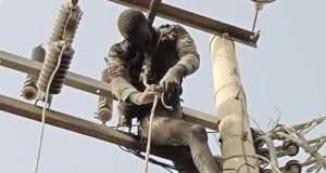 Man electrocuted trying to steal transformer cables Man electrocuted trying to steal transformer cables