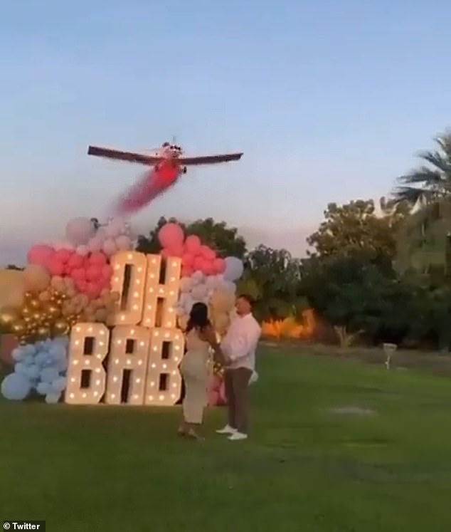 Pilot killed during gender reveal stunt