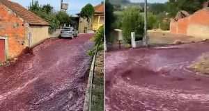 Incredible moment a river of RED WINE flows through Portuguese village Incredible moment a river of RED WINE flows through Portuguese village