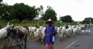 Fuel subsidy removal: Miyetti Allah urges palliatives for herdsmen Fuel subsidy removal: Miyetti Allah urges palliatives for herdsmen