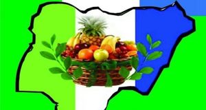 NNPP probes account of N1bn raised from sale of forms NNPP probes account of N1bn raised from sale of forms