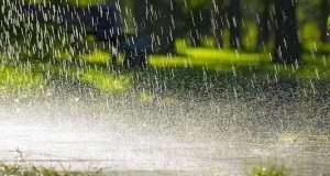 FCT, Edo, 23 states to experience 48-hour downpour – NiMET FCT, Edo, 23 states to experience 48-hour downpour - NiMET
