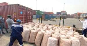 Customs arrest suspected wildlife smuggling kingpin Customs arrest suspected wildlife smuggling kingpin