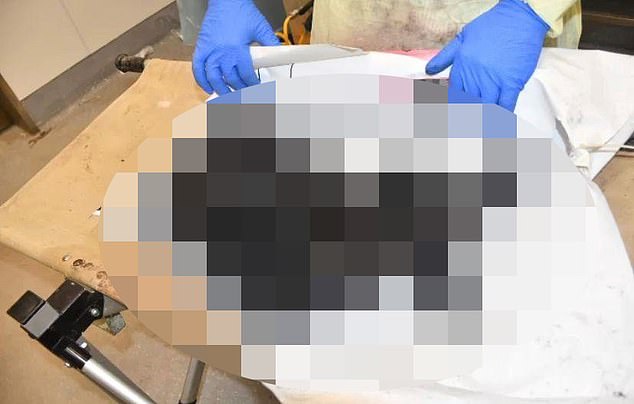 Israel releases disturbing photos of babies murdered and burned by Hamas