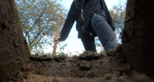 17-year-old buries younger brother alive 17-year-old buries younger brother alive