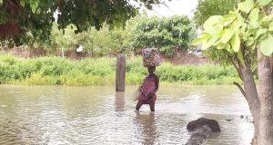 Floods claim 33 lives in Adamawa state Floods claim 33 lives in Adamawa state