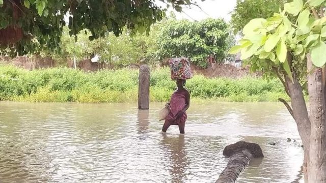 Floods claim 33 lives in Adamawa state