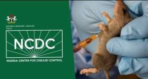 NCDC records 1,068 Lassa fever cases NCDC records 1,068 Lassa fever cases