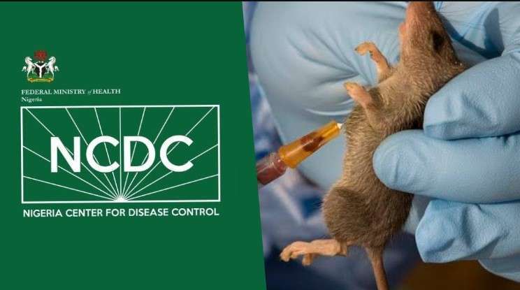NCDC records 1,068 Lassa fever cases