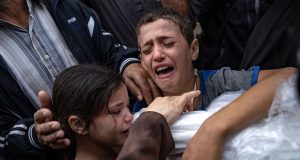 Dogs now eating bodies of slain Palestinians at hospital Dogs now eating bodies of slain Palestinians at hospital