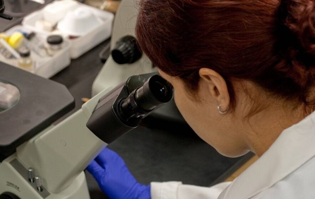 UK records first case of new strain of swine flu