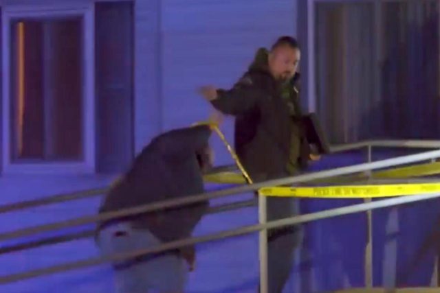 3-year old boy k*lls brother, 2, with mom's gun