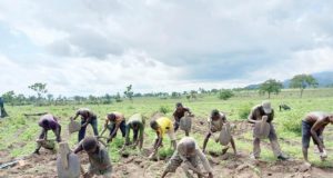 Again, farmers are k!lled in Taraba Farmers are k!lled in Taraba