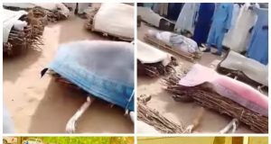 Boko Haram insurgents k!ll 17 youths in Yobe over failure to pay tax Boko Haram insurgents k!ll 17 youths in Yobe over failure to pay tax