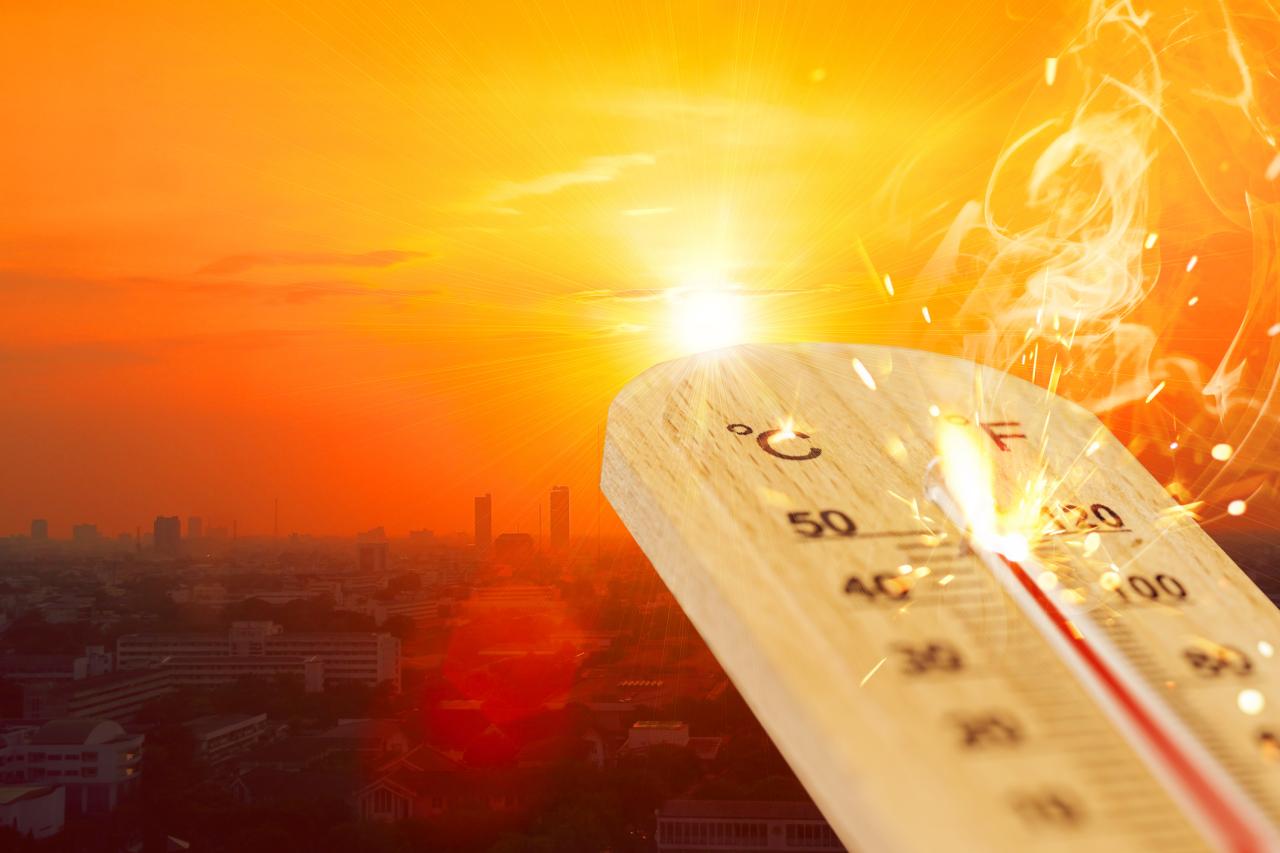 2023 set to be hottest year ever - UN
