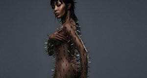 SEE Naomi Campbell pose n*de with entire body covered in SPIKES Naomi Campbell poses n*de with her entire body covered in silver spikes
