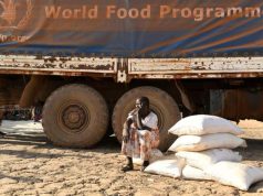 282 million people in Africa are undernourished