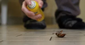 Man blows up apartment trying to kill cockroach Man blows up apartment trying to kill cockroach