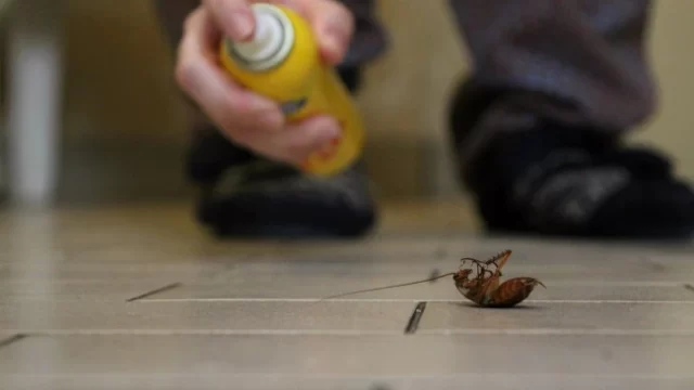 Man blows up apartment trying to kill cockroach