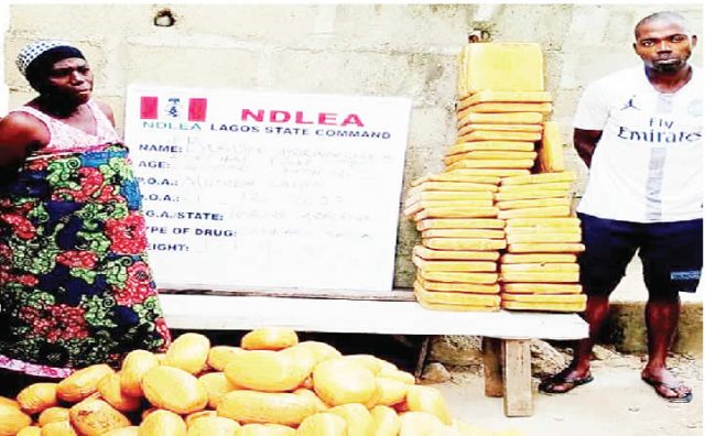 NDLEA arrests grandma, son for drug trafficking
