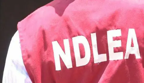Sokoto NDLEA arrests alleged suspect behind killing of its operative Sokoto NDLEA arrests alleged suspect behind killing of its operative