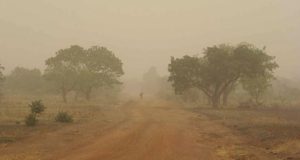 NiMet predicts dust haze, low visibility nationwide NiMet predicts dust haze, low visibility nationwide