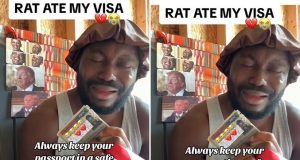 Rats ate this man’s passport & American visa Rat ate this man's passport & American visa