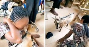 Single mother of two allegedly caught stealing goat in Benue state Single mother of two allegedly caught stealing goat