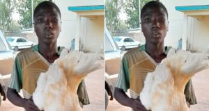 Teenage boy arrested for having se.xual intercourse with cock Teenage boy arrested for having se.xual intercourse with cock