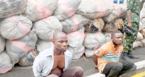 Two Ghanaians arrested with N250m worth of hemp in Lagos Two Ghanaians arrested with N250m worth of hemp in Lagos