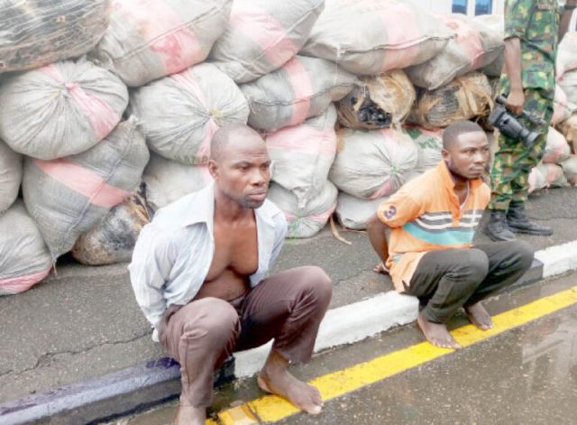 Two Ghanaians arrested with N250m worth of hemp in Lagos Two Ghanaians arrested with N250m worth of hemp in Lagos