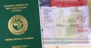 Japa: 32462 Nigerians apply for passports in two weeks Japa: 32462 Nigerians apply for passports in two weeks