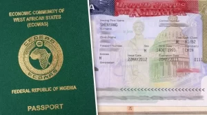 Japa: 32462 Nigerians apply for passports in two weeks